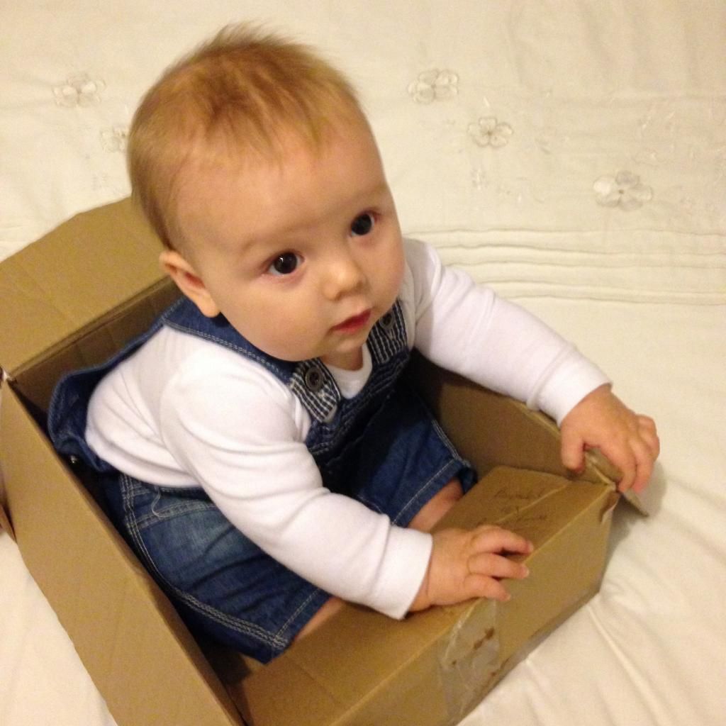 Baby In A Box