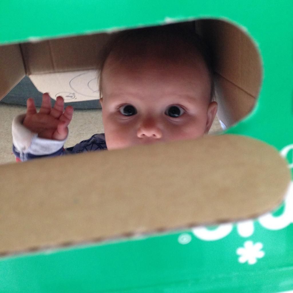Baby In A Box