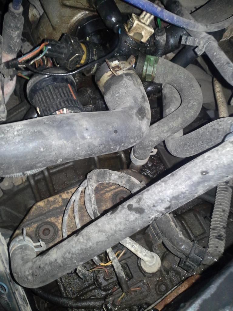 1997 Jetta 2.0L oil leak VW Vortex Volkswagen Forum