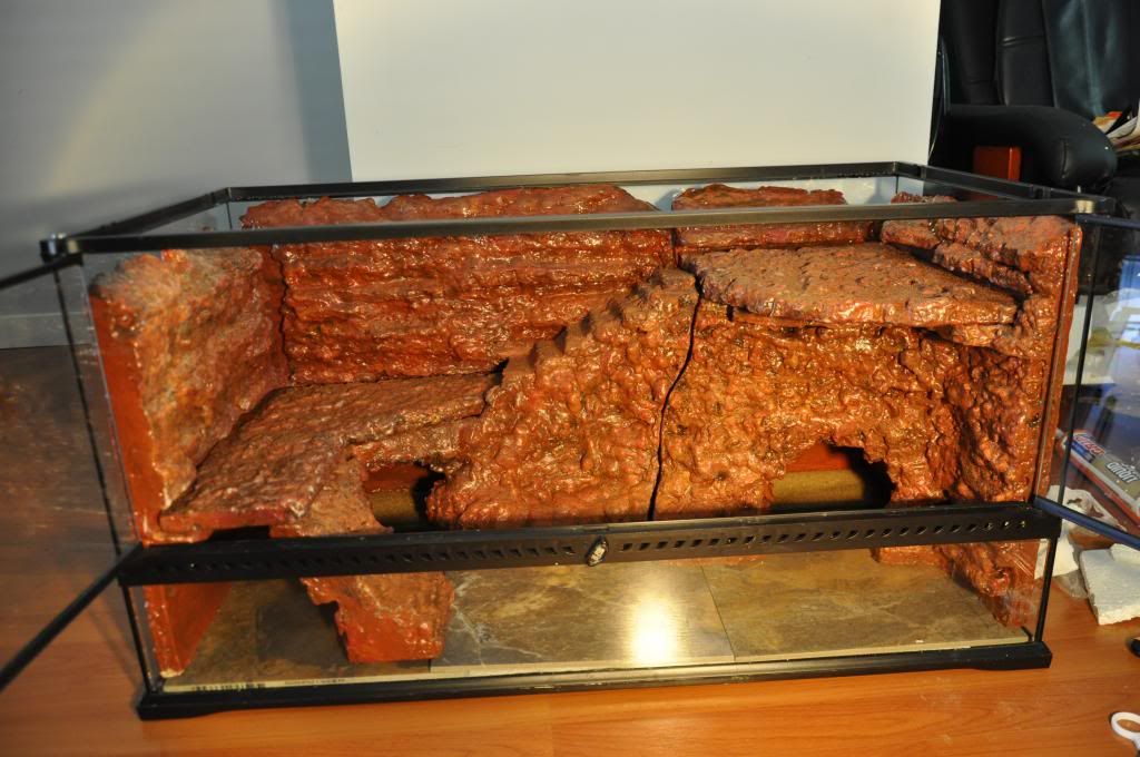 Bearded dragon custom fake rock wall (pic heavy) • Bearded Dragon . org