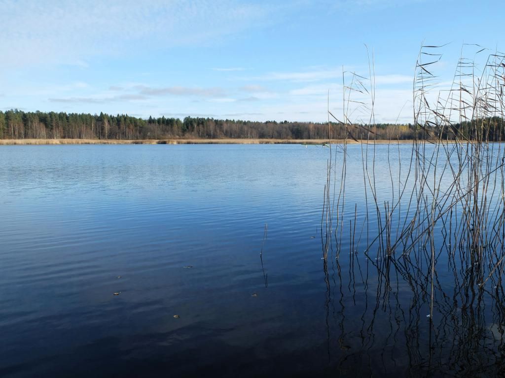 Finland travel lakeside Autumn