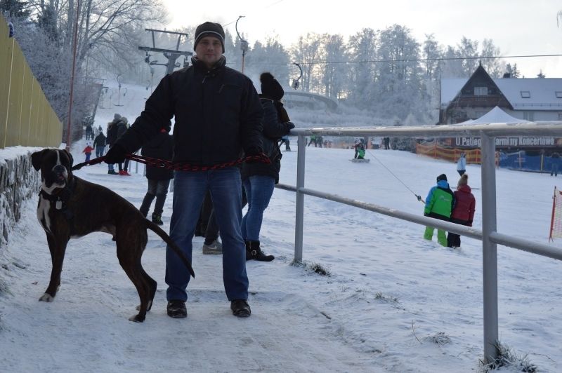 062e8684-cf3e-4ca7-9dcc-de1e47c262c0_zps