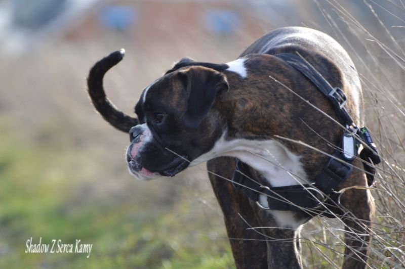 26a2c5a0-0b92-43cb-bb31-c82c20ba2af6_zps