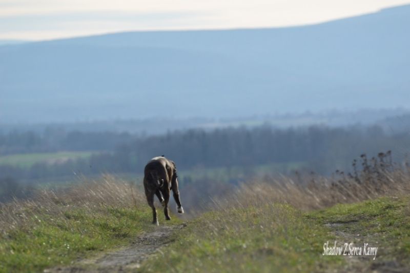 ea7f836d-1acc-4d80-8767-15e9b3f8ea75_zps