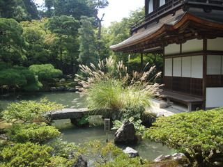 Kyoto: Gingaku-ji, Paseo filosofía, Heian, Kiyomizu-dera - 17 días de ruta por Japón (Septiembre 2013) (2)