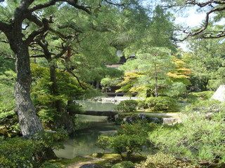 17 días de ruta por Japón (Septiembre 2013) - Blogs de Japon - Kyoto: Gingaku-ji, Paseo filosofía, Heian, Kiyomizu-dera (3)