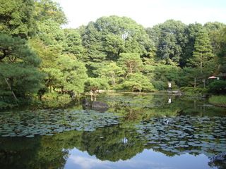 17 días de ruta por Japón (Septiembre 2013) - Blogs de Japon - Kyoto: Gingaku-ji, Paseo filosofía, Heian, Kiyomizu-dera (8)