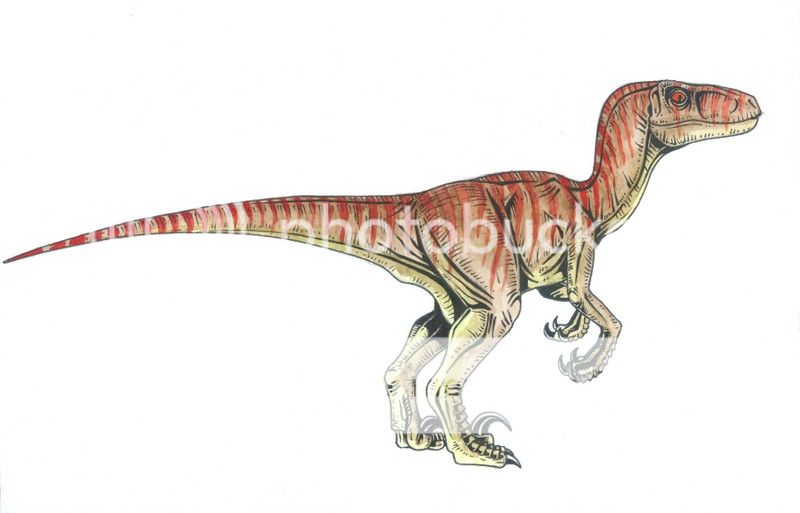 Velociraptor [CP] Velociraptor_zps88e996b2