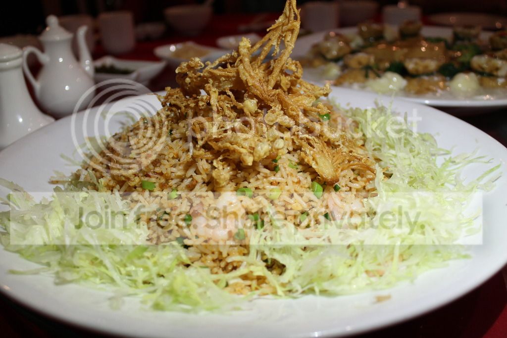  photo IMG_2391_zps5hknksfa.jpg