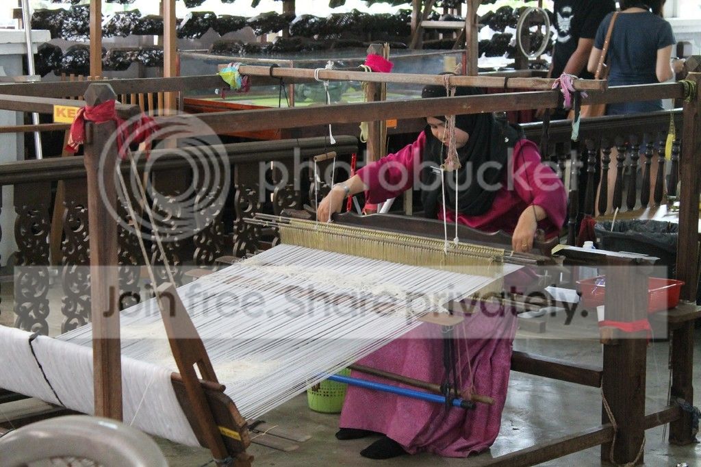 photo IMG_3514_zps4ayxohm4.jpg