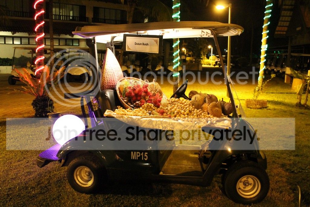  photo IMG_3899_zpsjeddjreg.jpg