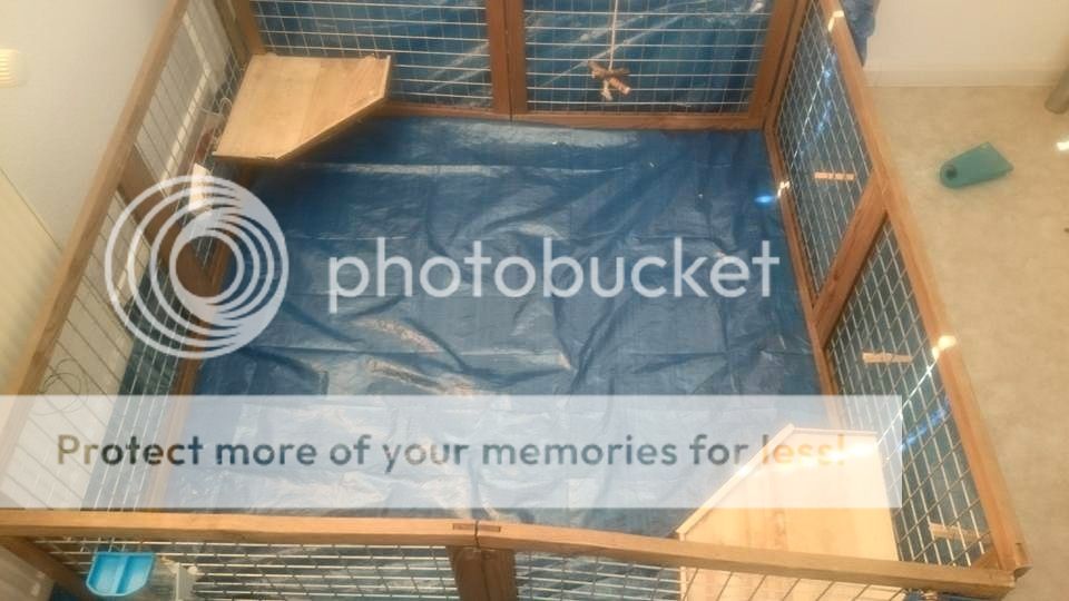  photo 2_zps0rjfomik.jpg