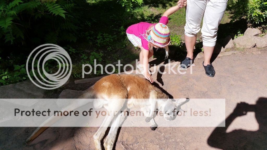  photo 1_zps8lx1jp7d.jpg