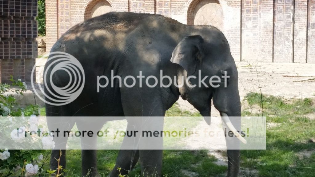  photo 4_zps7wc8cpq7.jpg