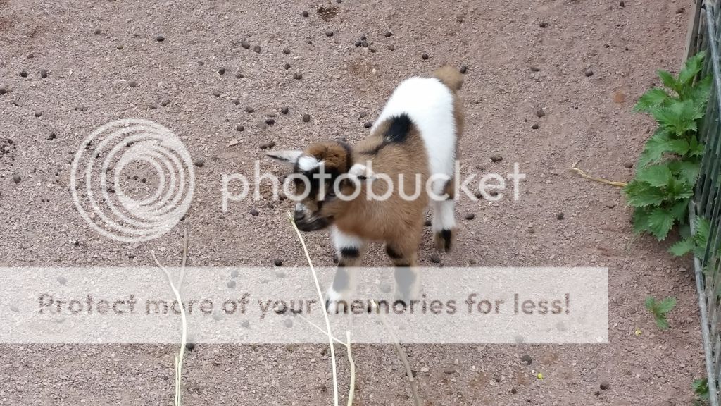  photo 5_zpsvb0recie.jpg