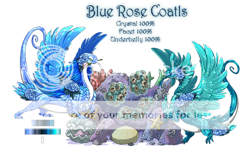 Blue%20Rose%20Coatls%20Breeding%20Card_zpslt8imeoz.png