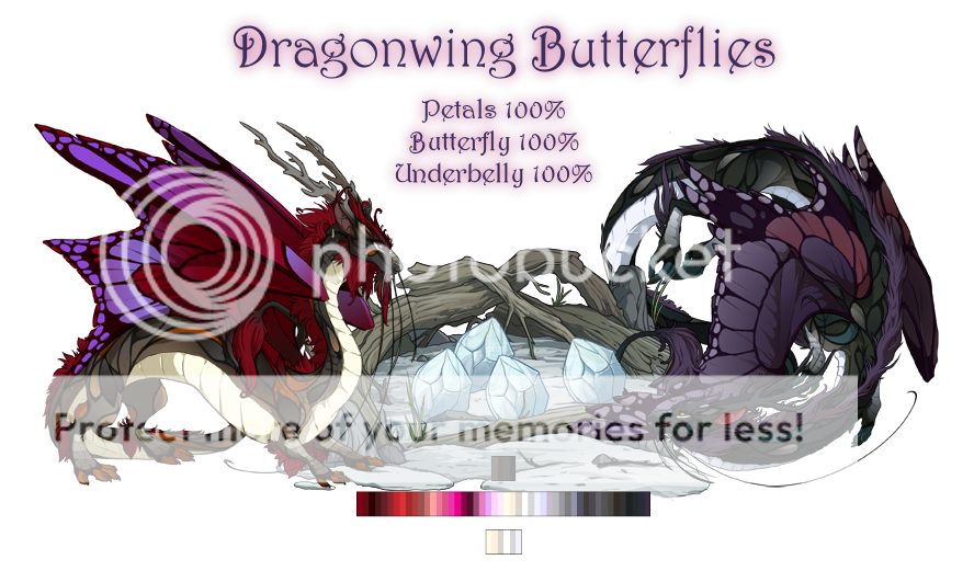 Dragonwing%20Butterflies%20Breeding%20Card_zpsegpomlmm.png