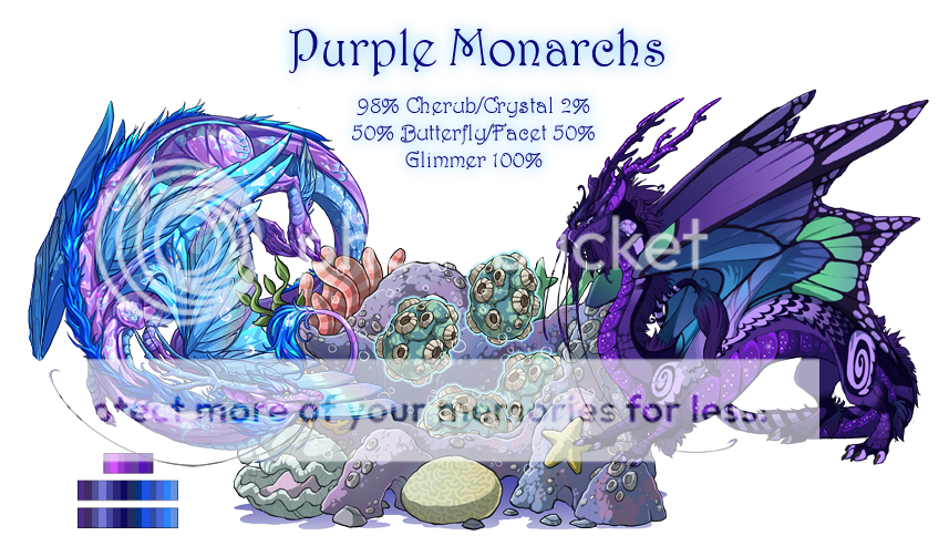 Purple%20Monarchs%20Breeding%20Card_zpswlvu7asa.png