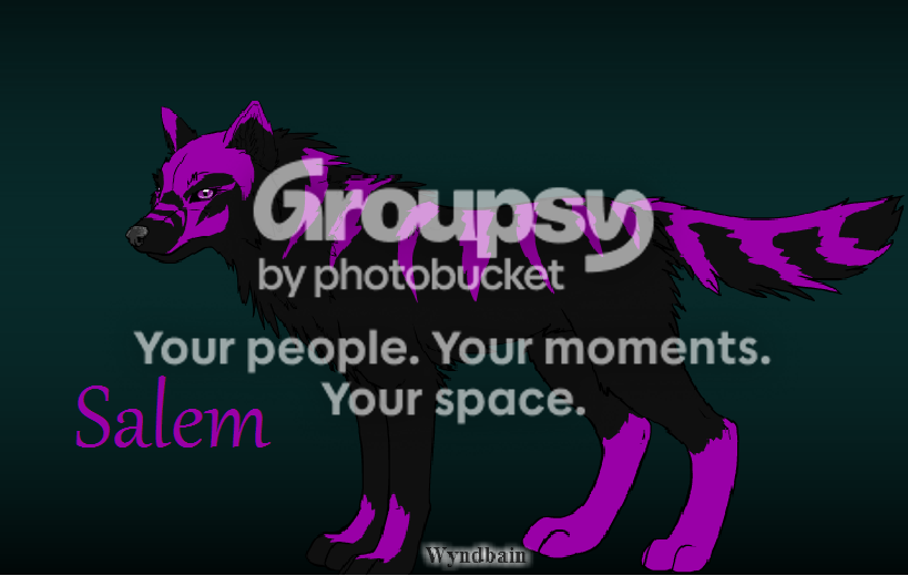 User Image