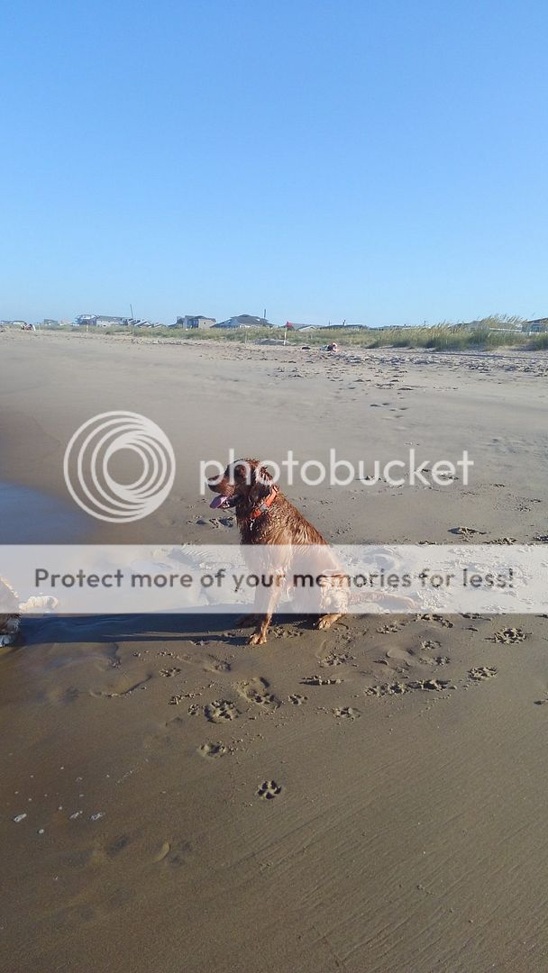 Photobucket - Video and Image Hosting